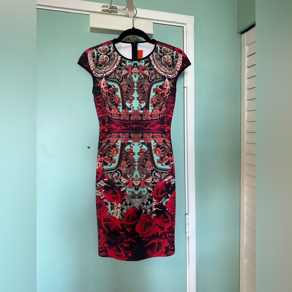 Clover Canyon Rose Matador Dress